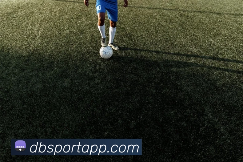 多宝体育APPAPP 封面图